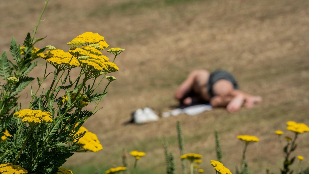 Wetter: Höchsttemperaturen bis 32 Grad erwartet