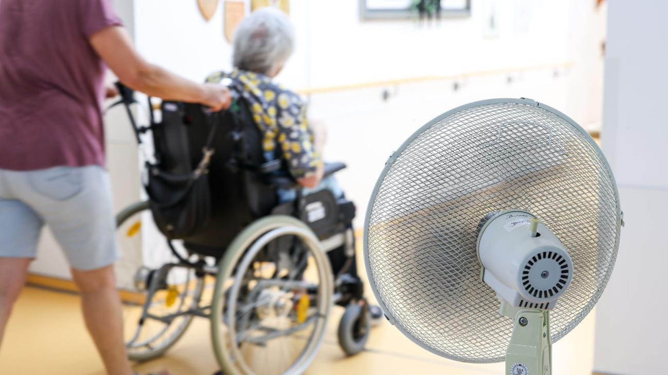 Extremhitze: Kammer will «Kraftakt für Klimaanpassung in der Pflege»