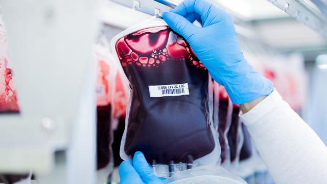 Appell zur Blutspende: Rotes Kreuz: Hitzewelle lässt Blutspenden einbrechen