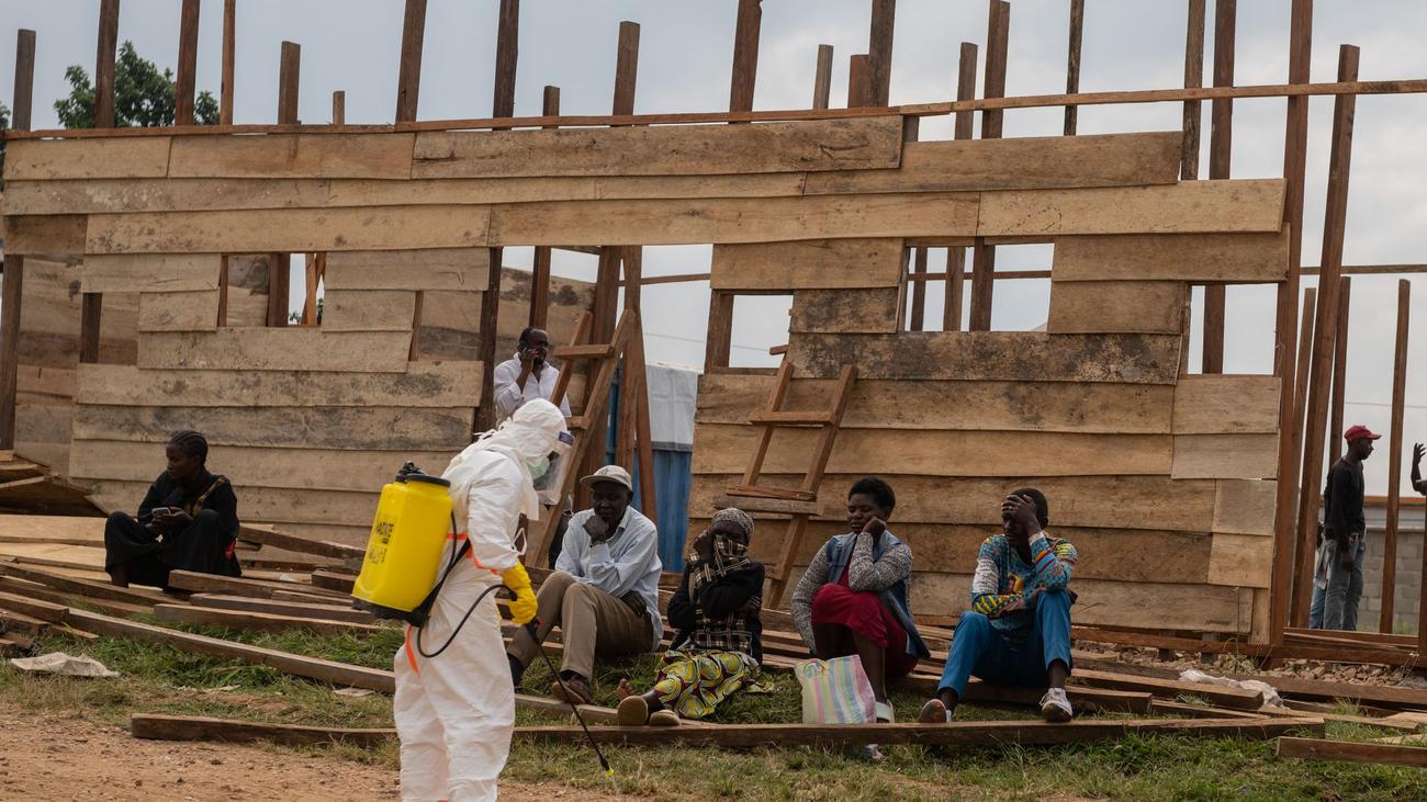 Epidemie in Zentralafrika: UN: Ebola könnte fast eine Million Menschen in Armut treiben