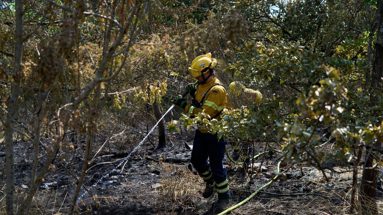 Großeinsatz: Waldbrand-Lage stabilisiert sich - Feuerwehrmann verletzt