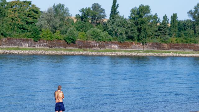 Wasserstraße: Warum Baden im Rhein auch bei Niedrigwasser gefährlich ist