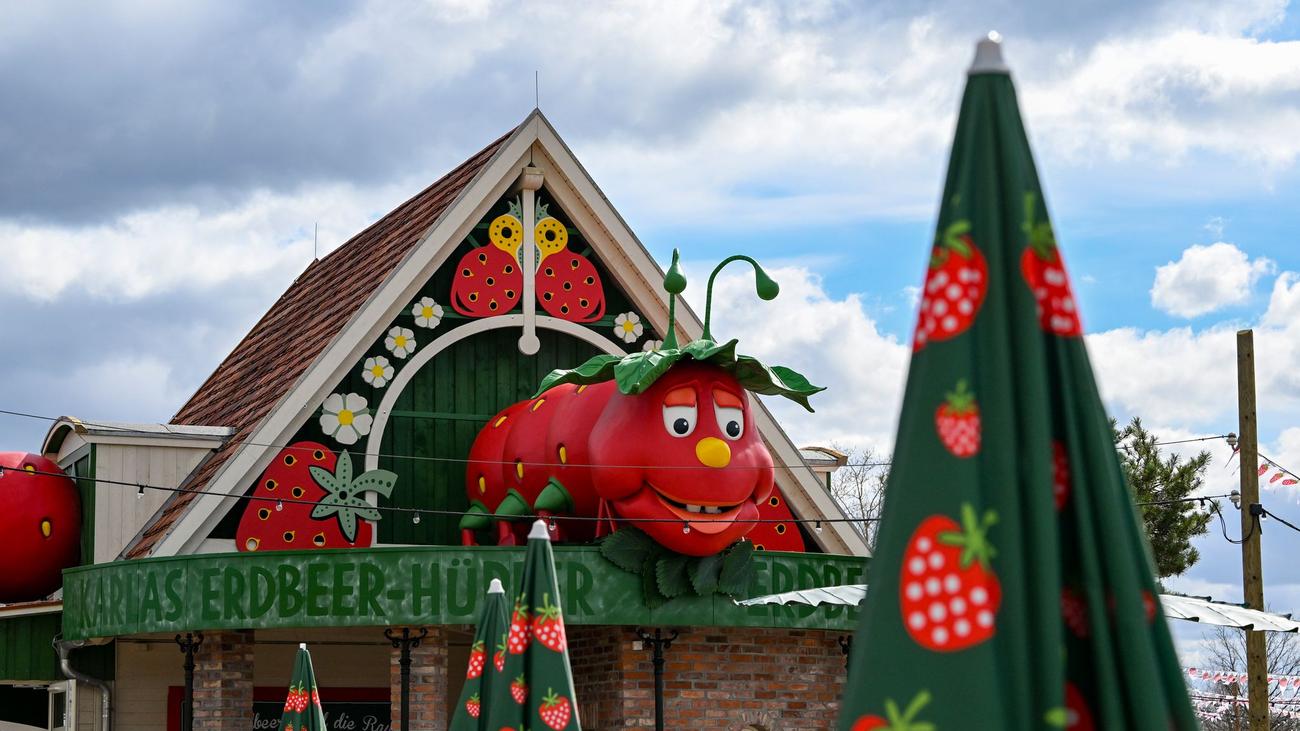 Für Familien: Neuer Freizeitpark soll Pferdemädchen «Bibi & Tina» feiern