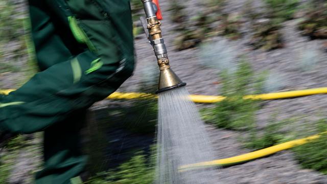 Trockenheit in Hessen: Was macht eigentlich ein Grünflächenamt?