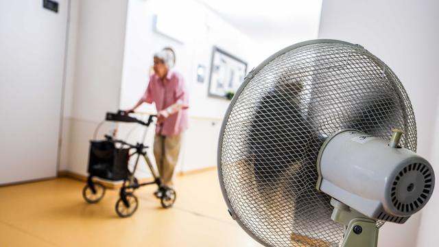 Folgen der Hitze: Behörden-Daten: Schon mehr als 800 Hitzetote in Deutschland