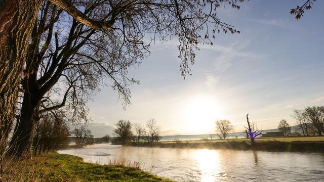 Rekordversuch im Schwimmen: Extremschwimmer Heß startet Rekordversuch auf der Donau