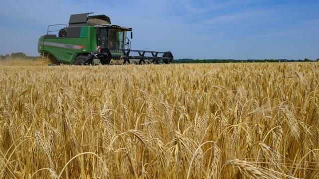 Landwirtschaft: Getreideernte gestartet - Landwirte unter Druck