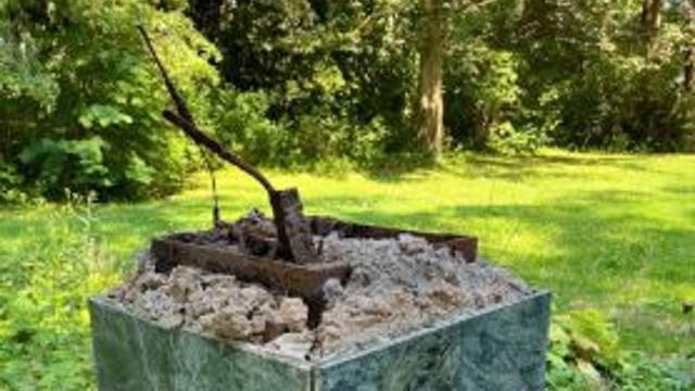 Diebstahl oder Cancel Culture: Puschkin-Denkmal weg - Moskau ist sauer auf Hemer