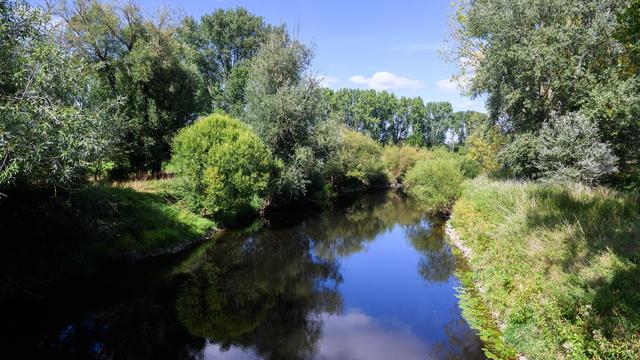 Strömungen und Wasserwalzen: Wo Gefahren beim Baden in Niedersachsens Gewässern lauern