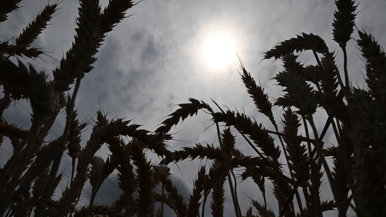 Wetterbericht: Wo wieder 30 Grad erwartet werden