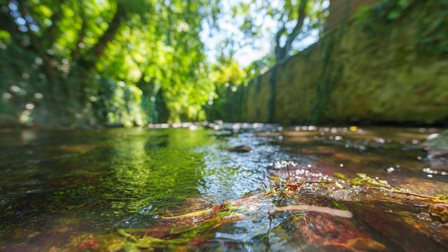 Trockenheit: Altmarkkreis Salzwedel schränkt Entnahme von Wasser ein