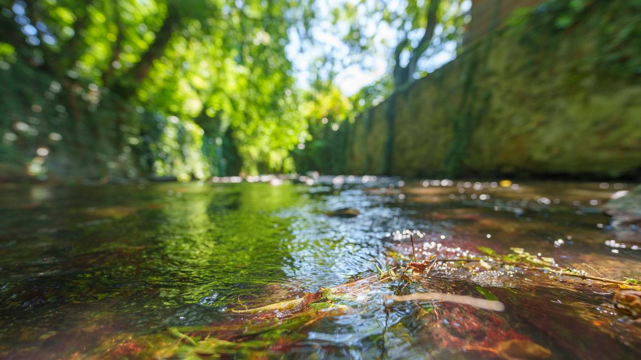 Trockenheit: Altmarkkreis Salzwedel schränkt Entnahme von Wasser ein