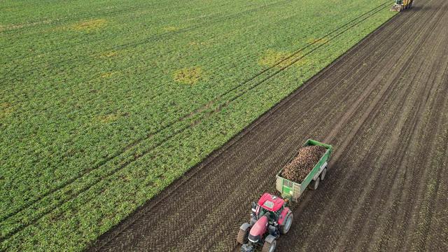 Landwirtschaft: Ernte in Sachsen-Anhalt unter schwierigen Vorzeichen