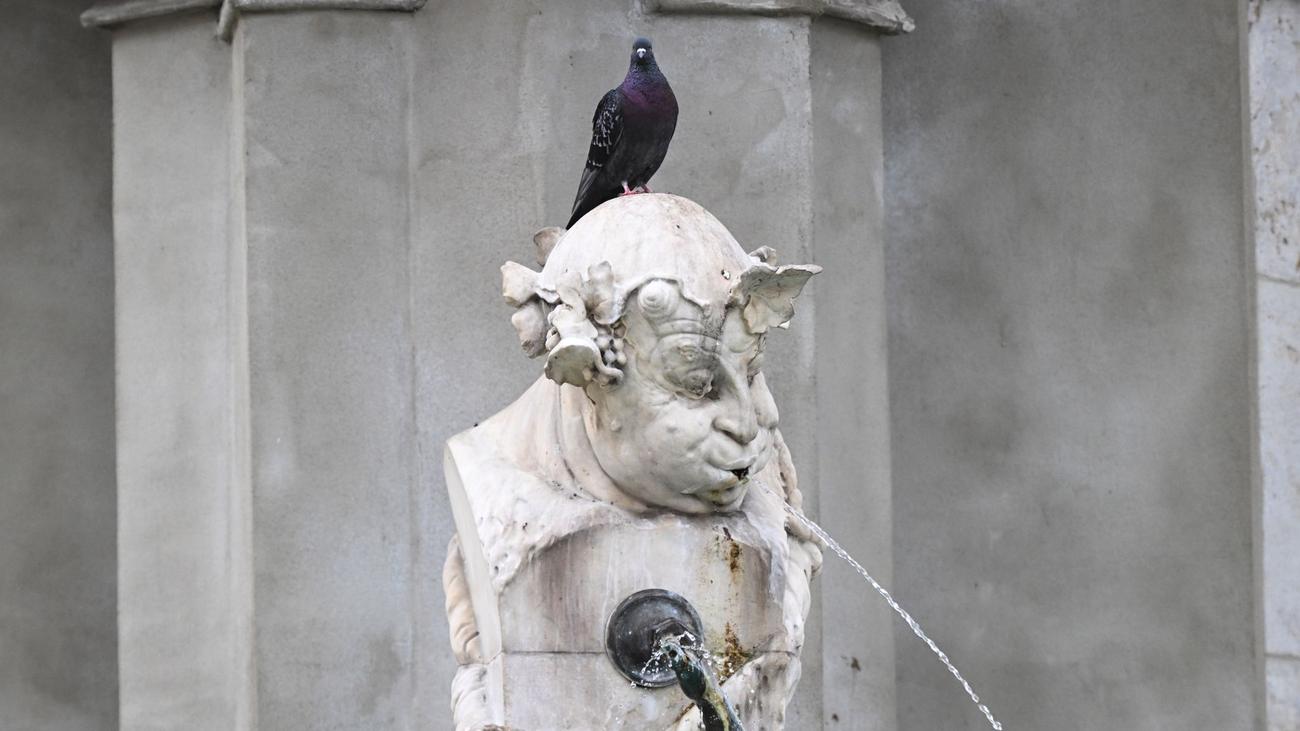 Wetteraussichten für Bayern: Hier kann es am Wochenende im Freistaat regnen