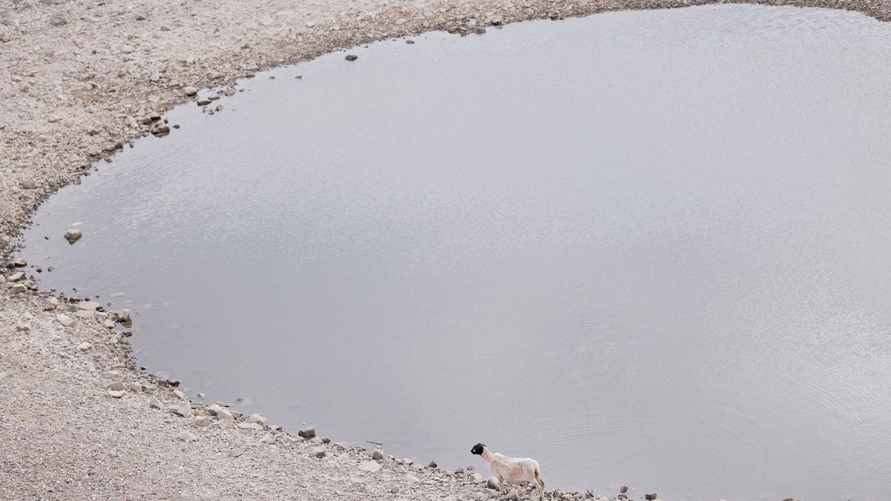 Hitzewelle: NRW will nach Hitzewelle Klimaschutz weiter verstärken