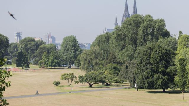 Wetter in Nordrhein-Westfalen: Temperaturen kratzen zum Ende der Woche an 30-Grad-Marke