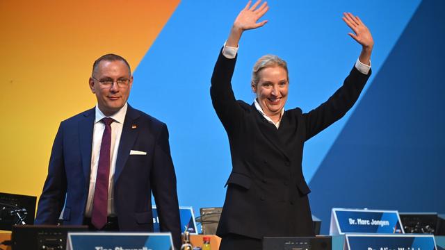 AfD-Parteitag: Chrupalla bleibt AfD-Co-Chef