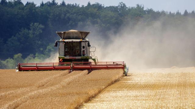 Heat Accelerates German Grain Harvest, But Winter Wheat Faces Risks
