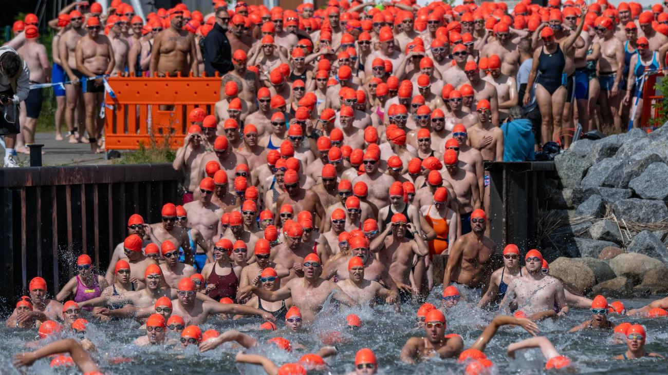 Freiwasserschwimmen: Mehr als 1.000 Schwimmer trotzen Strelasund