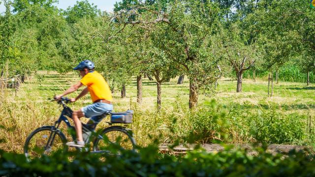 Wettervorhersage: Sommerwetter in Hessen – lokal kurze Schauer möglich