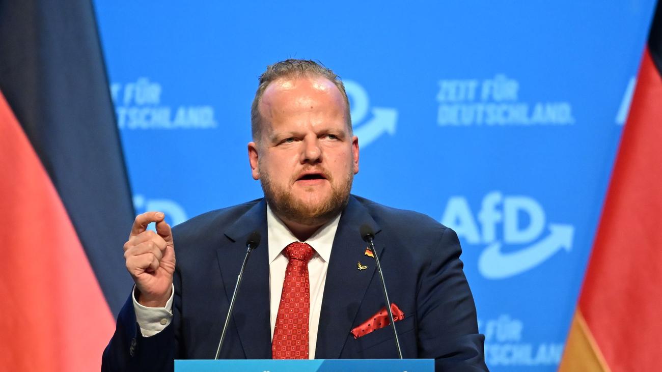 AfD-Bundesparteitag: Tritschler neuer AfD-Vize – Weidel-Mann setzt sich durch