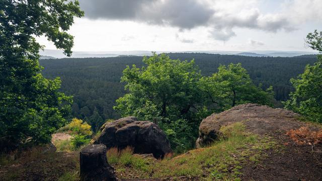 Wettervorhersage: Warmes Wochenende – Sonntag örtlich Schauer und Gewitter