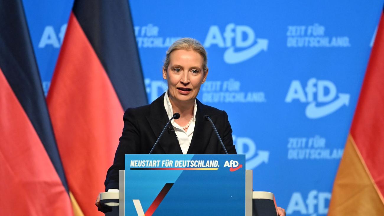 Delegiertentreffen: Weidel: «Ihr werdet uns nicht kleinkriegen!»