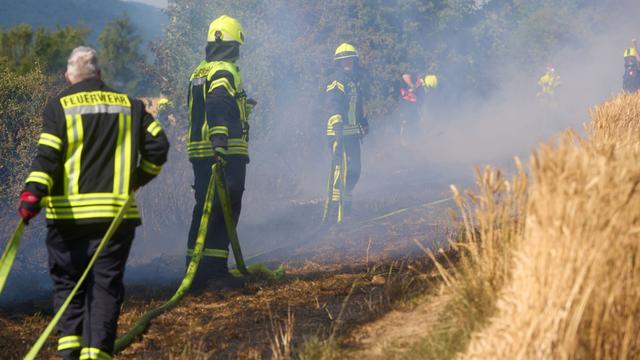 Bad Neuenahr-Ahrweiler: Weizenfeld brennt – Feuerwehr verhindert Ausbreitung