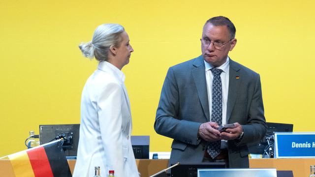 AfD-Parteitag: AfD bestätigt Spitzenduo – Chrupalla verliert an Rückhalt