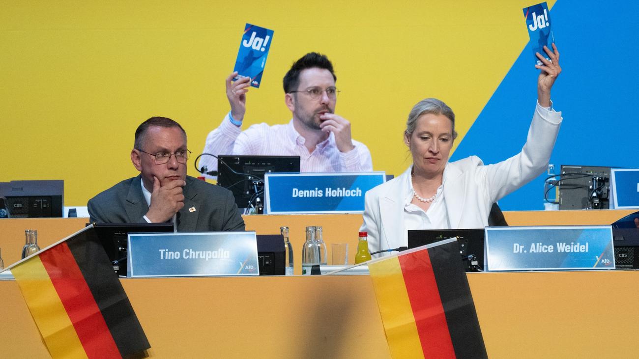 Delegiertentreffen: AfD-Parteitag zu Ende