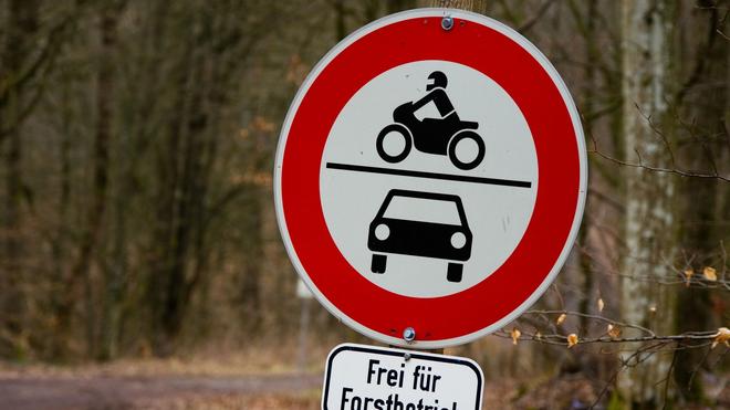 Autounfall im Wald: Um ins Tal zu gelangen, nutzt der Mann eine Forststraße. (Symbolbild)