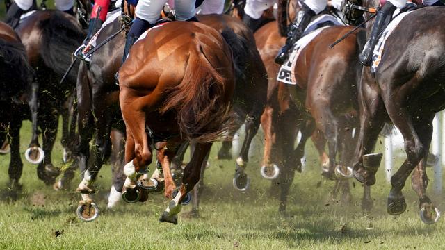 Pferderennen: Dardanos gewinnt überraschend deutsches Galopp-Derby