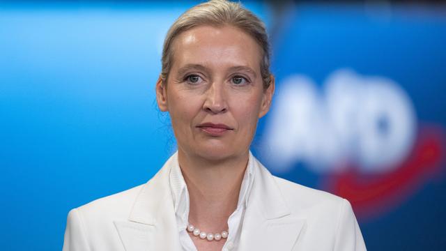 AfD-Parteitag: Weidel kontert Wahlprogramm: «Ich lebe etwas anderes»