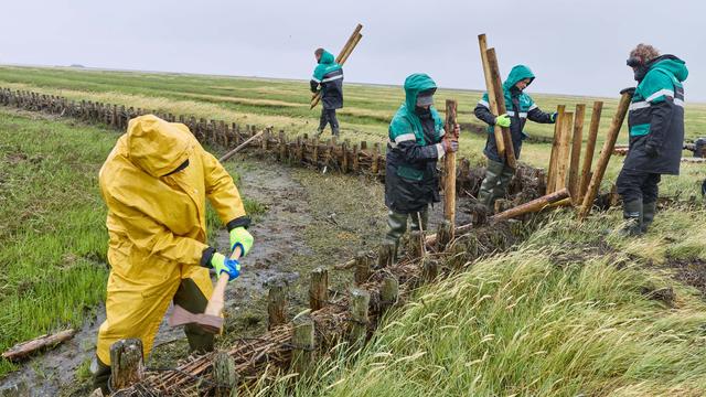 Arbeiten im Küstenschutz: Klimakrise fordert Küstenschutz – Wasserbauer im Einsatz