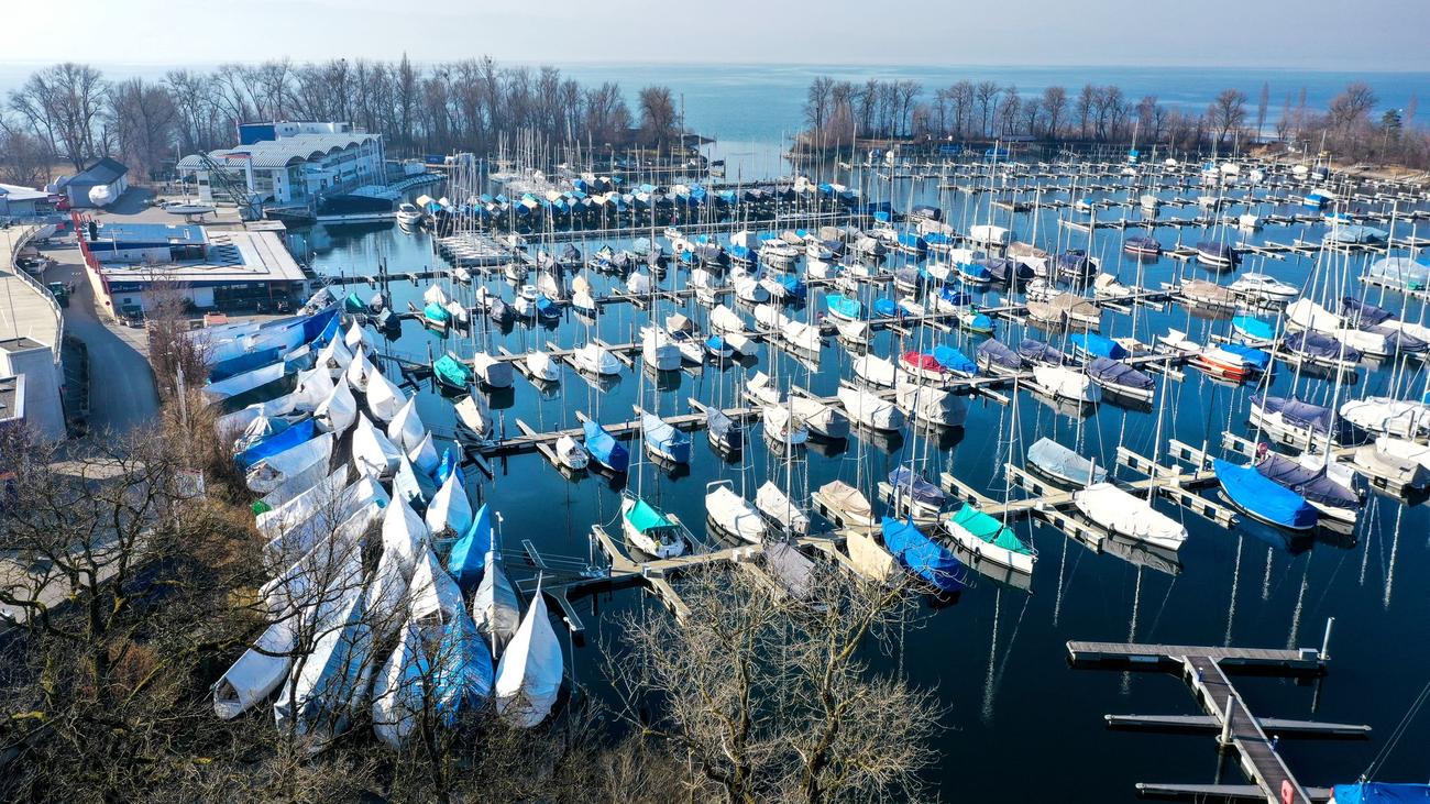 Muschelinvasion mit Folgen: Putzpflicht für Bootsbesitzer am Bodensee wird geprüft