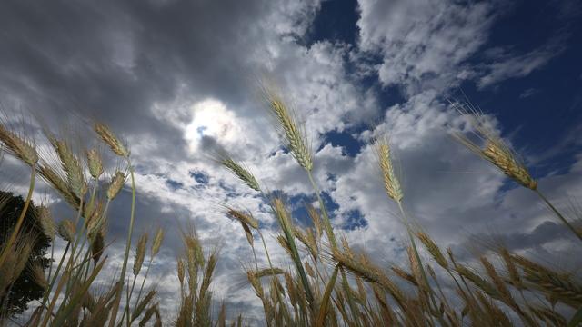 Wettervorhersage: Wechselhafter Start – ab Dienstag wird es wieder sommerlich