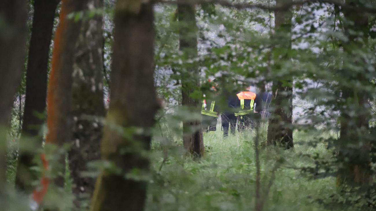 Östlich von Köln: Feuerwehr kämpft weiter gegen Waldbrand