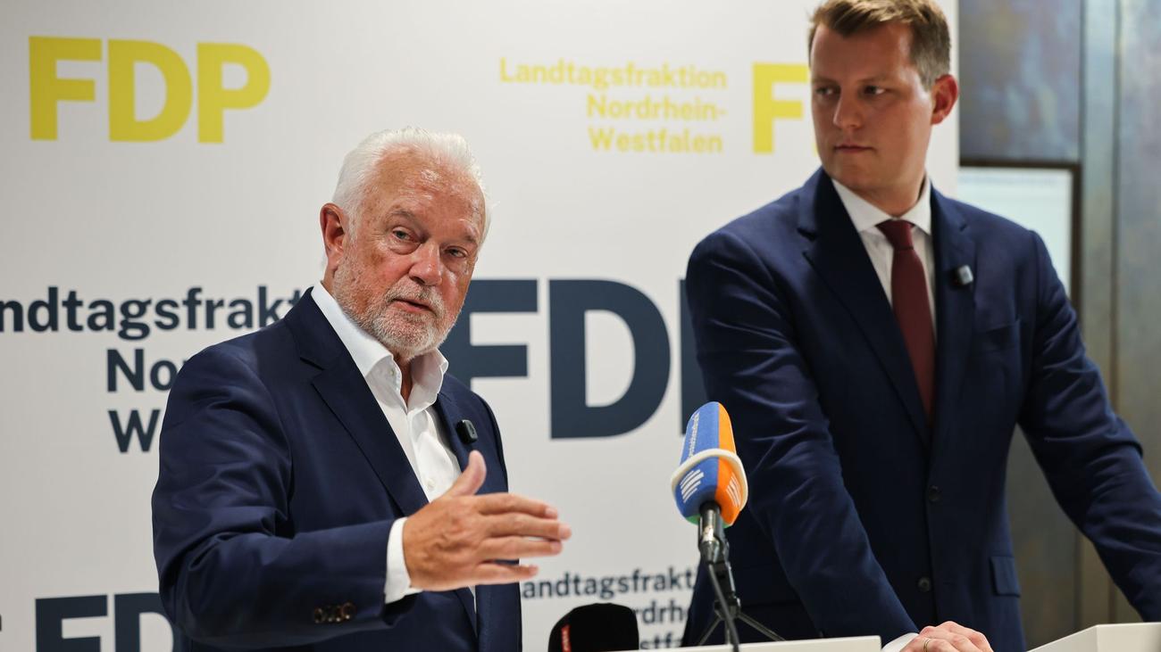 Parteien: Kubicki und Höne wollen gemeinsam für FDP-Comeback kämpfen
