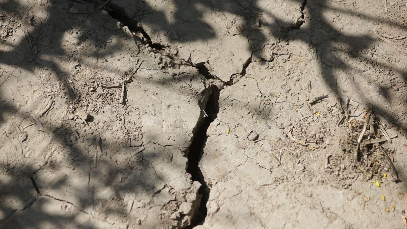 Kein Regen in Sicht: Niedrige Wasserstände - was man zur Trockenheit wissen muss