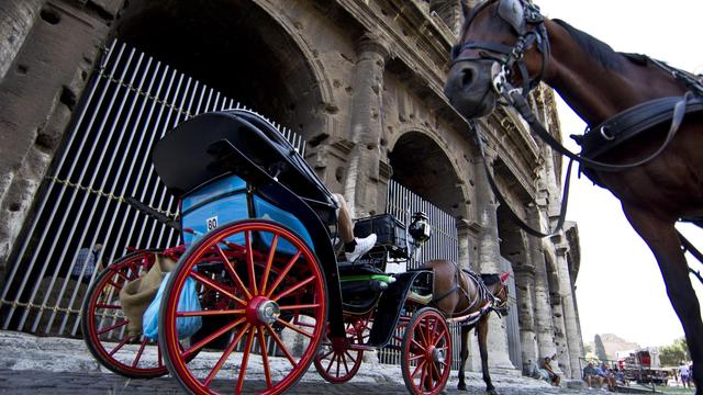 «Botticelle»: Pferd bricht in Rom zusammen - Debatte über Kutschfahrten