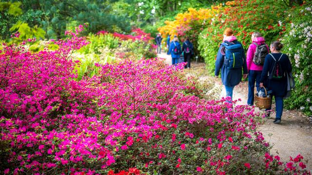 Gartenkultur: Wo die Landesgartenschauen 2032 und 2034 blühen werden