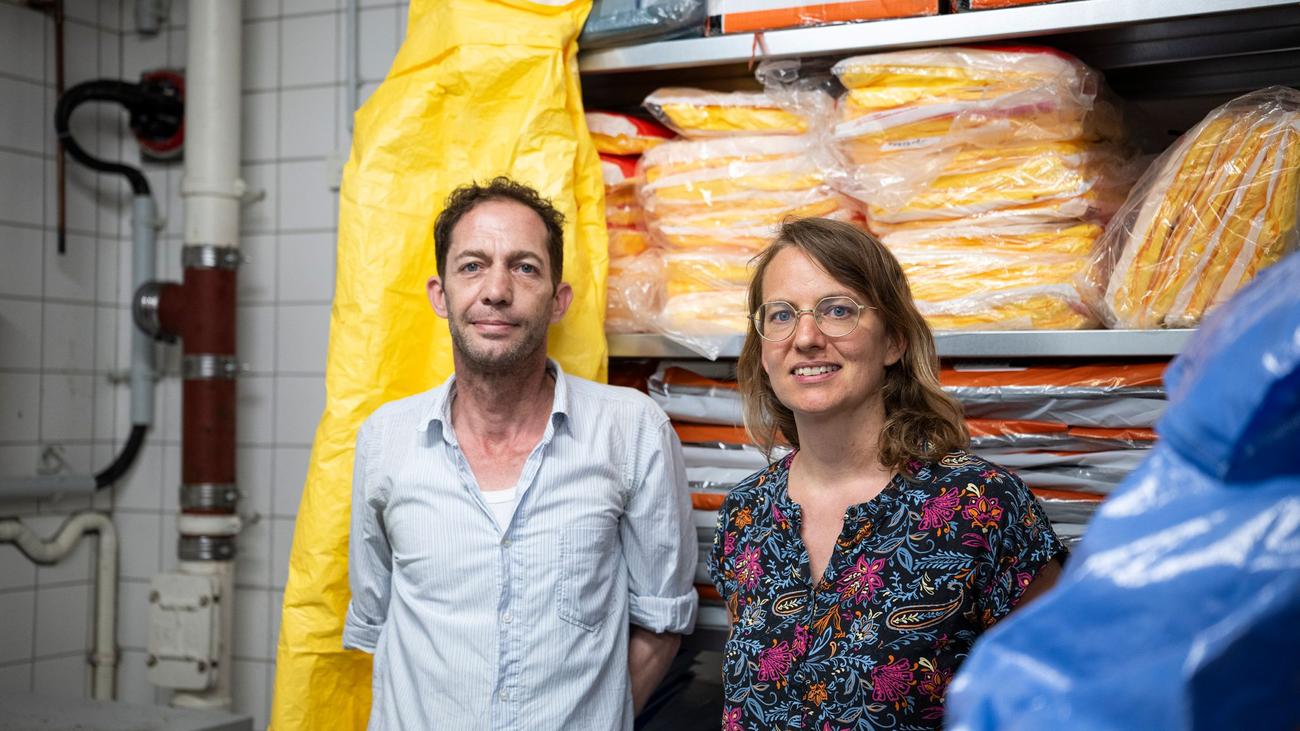 Gefährliche Krankheiten: Ebola und Hantavirus: Sie kommen, wenn andere Abstand halten