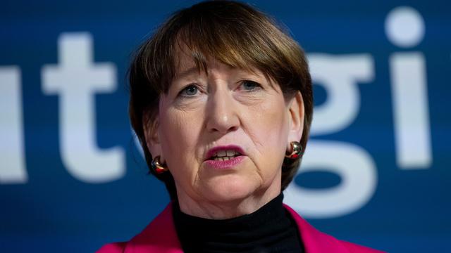 Autoindustrie: Vor VW-Aufsichtsrat - Branchenverband sieht Reformbedarf