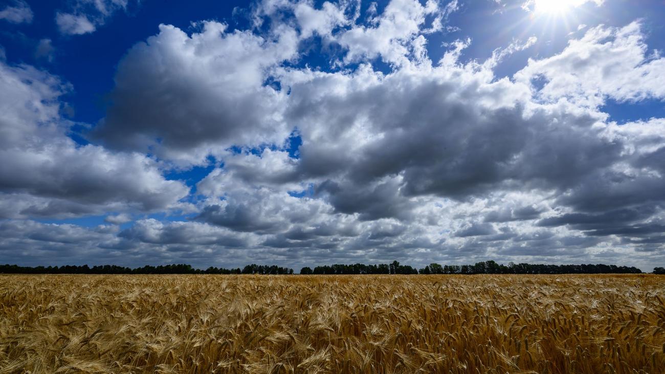 Hochsommer: Wann es wieder heißer wird