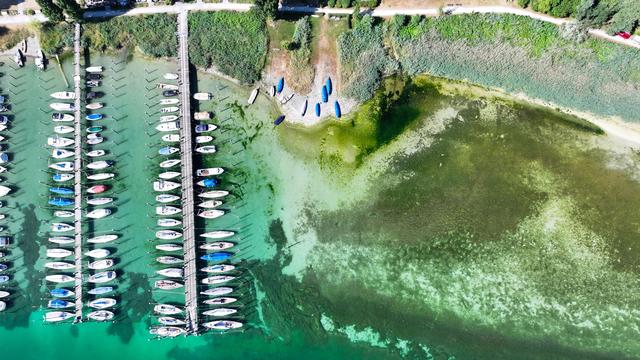 Niedrigwasser: Bodensee fällt auf historischen Tiefstand im Juli