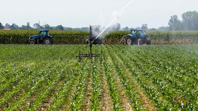 Ausbeutung in Landwirtschaft: Erntehelfer aus Indien verblutet: 16 Jahre Gefängnis