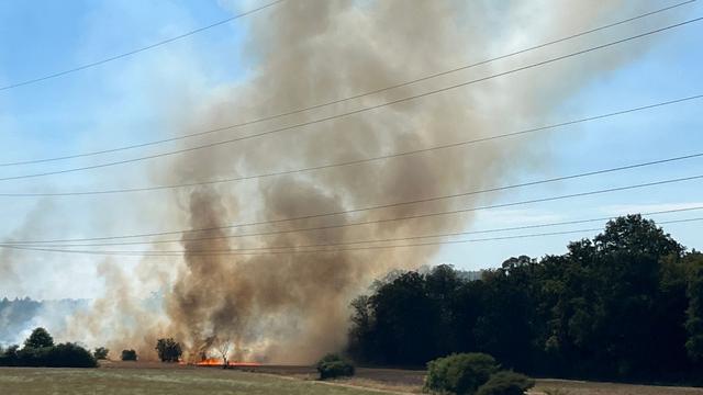 Waldbrandgefahr: Wie die Feuerwehr gegen Waldbrände aufgestellt ist