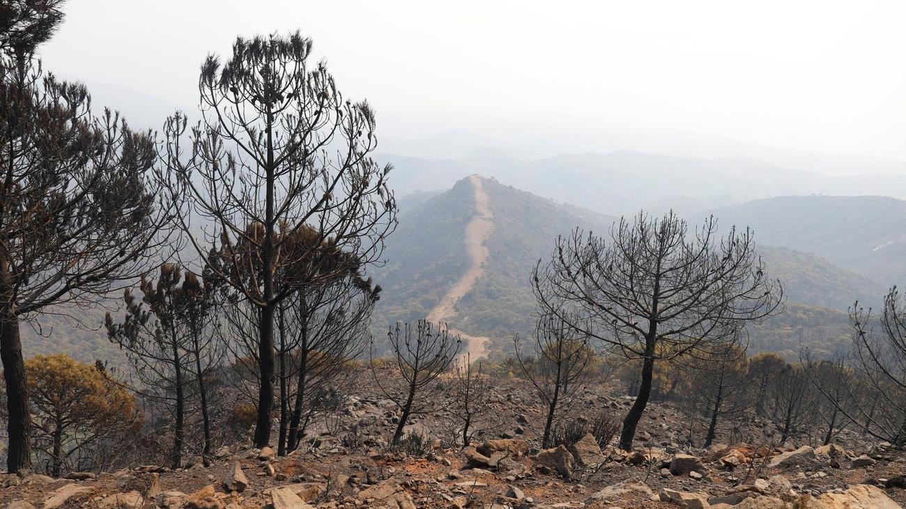 Notfälle: Gewaltiger Brand wütet in Andalusien - Tote und Verletzte