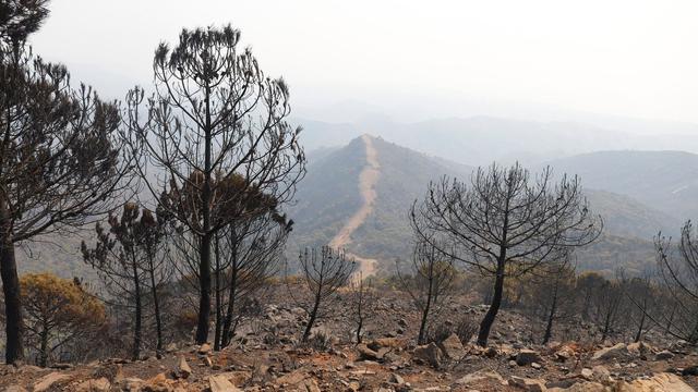 Notfälle: Mindestens zwölf Tote bei Waldbrand im Süden Spaniens