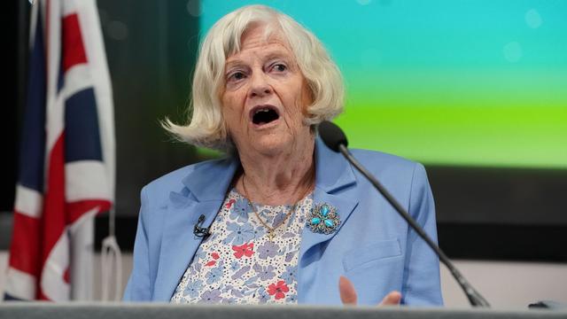 Mutmaßlicher Täter flüchtig: Mordermittlungen nach mysteriösem Tod von Brexit-Politikerin